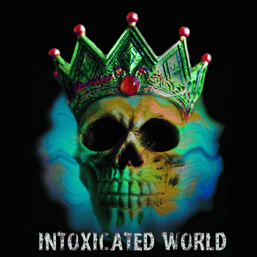 Zitter : Intoxicated World